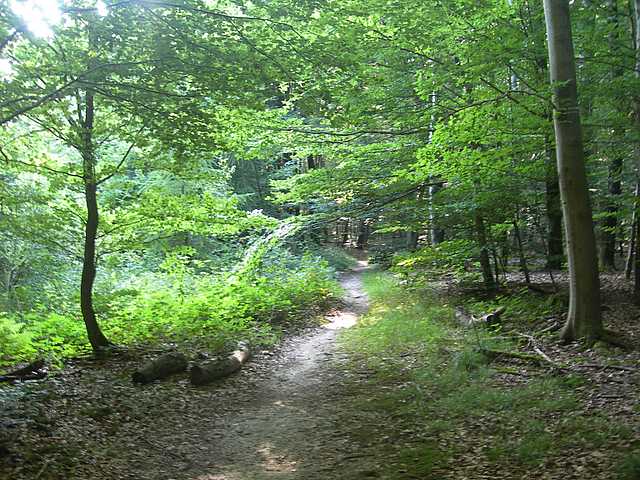 Primizie estive nel Jura francese